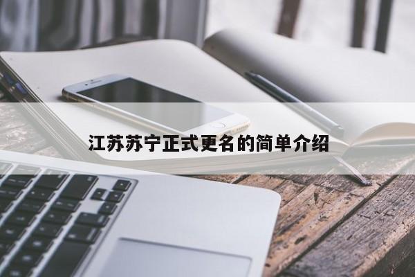 江苏苏宁正式更名的简单介绍